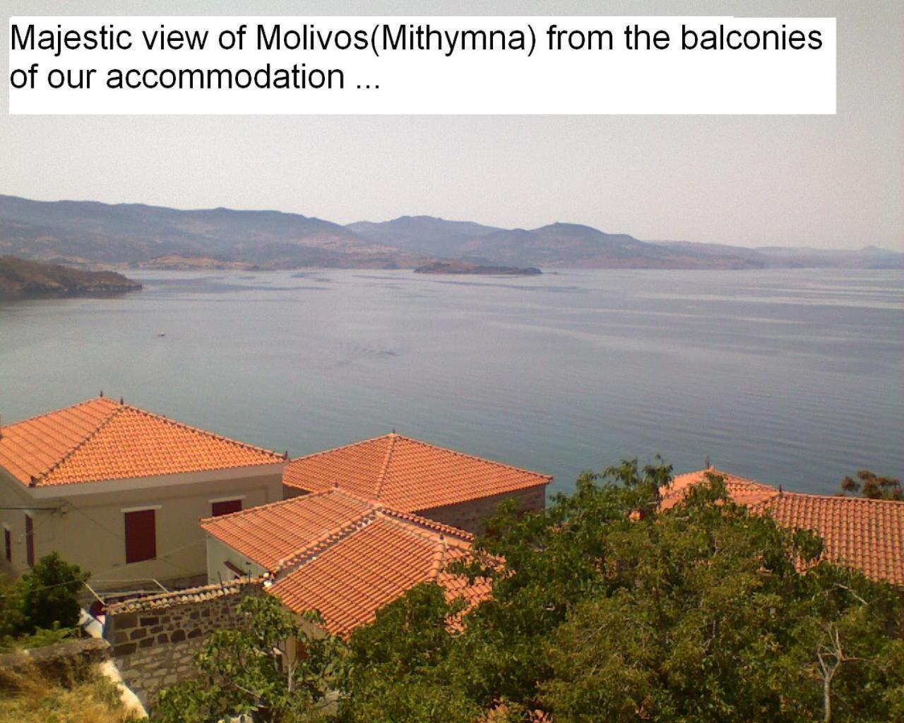 The Schoolmistress With The Golden Eyes, Studios & Rooms Μήθυμνα Εξωτερικό φωτογραφία